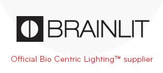 Brainlit