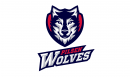 Pilsen Wolves win Kånken Award, receive €10 000